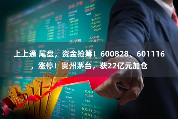 上上通 尾盘，资金抢筹！600828、601116，涨停！贵州茅台，获22亿元加仓