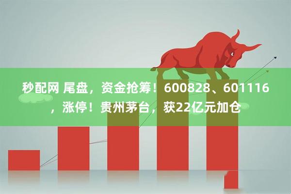 秒配网 尾盘，资金抢筹！600828、601116，涨停！贵州茅台，获22亿元加仓