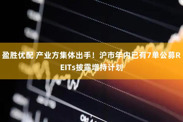 盈胜优配 产业方集体出手！沪市年内已有7单公募REITs披露增持计划